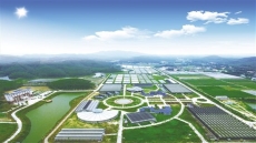 沾化出臺(tái)冬棗大棚全額貼息貸款政策