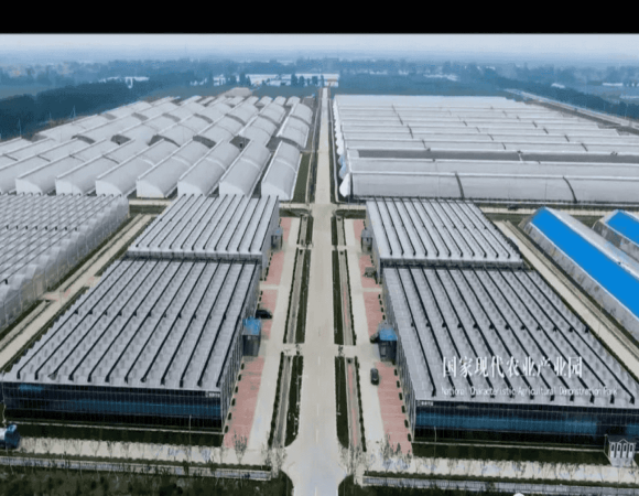 日光溫室建設(shè)初步介紹