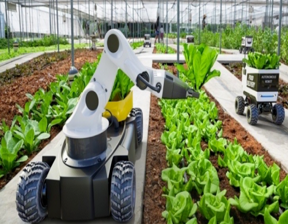 《智能玻璃連棟溫室建設(shè)工程施工淺析》